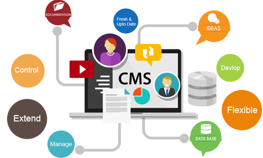 cms website development